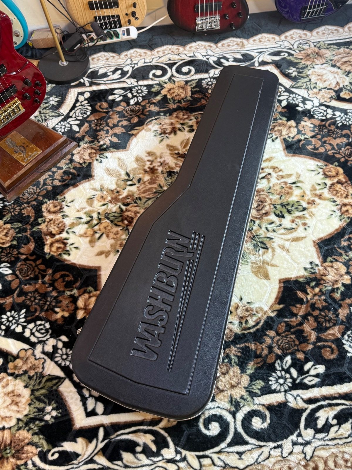 Washburn Washburn de fibra 